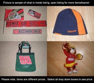 NFL NASCAR Misc Blankets Teddy Bears Memorabilia Ornament Beanie Bag 