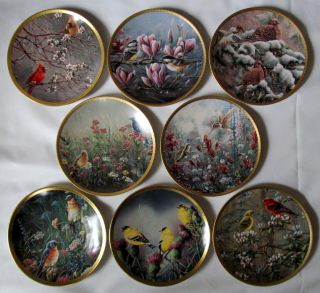 Complete Plates Birds of The Garden Collection Wanda Mumm RARE 