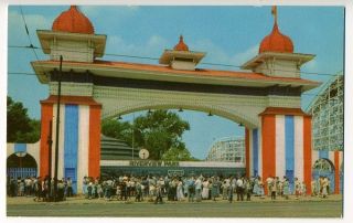 Postcard Main Entrance Riverview Amusement Park Chicago