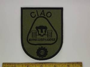 Ciao Ejercito Trainning Liders Army Patch Argentina