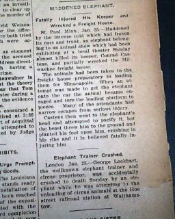Cheswick PA Harwick Coal Mine Explosion 1904 Newspaper