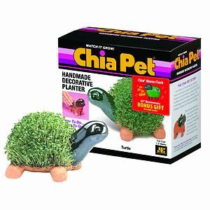 chia pet turtle 1 ea watch it grow easy to do fun to grow handmade