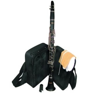  fun while learning the clarinet the clarinet has been featured on