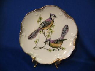 Vintage? Collectible Bird Plate Porcelain? Norcrest 8