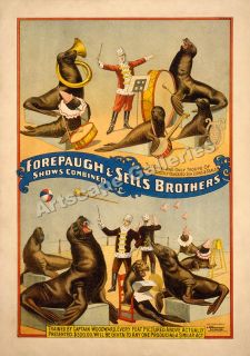 Forepaugh Sells Sea Lions Seals Circus Poster 24x34