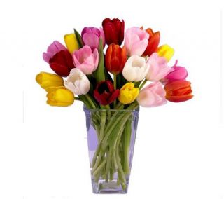 20 Assorted Tulips with Contempo Vase —