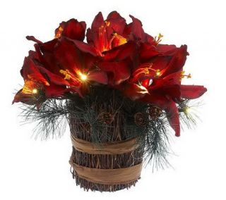 BethlehemLights BatteryOperated Amaryllis &Pine in Twig Base with 