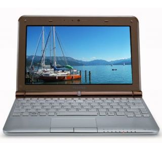 Toshiba 10.1 Notebook w/ Atom N455, 1GB RAM,250GB HD & WiFi