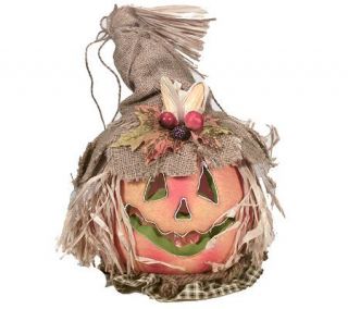 Country Harvest Fiber Optic Scarecrow Pumpkin —