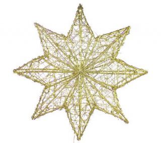 36 Indoor Lighted 3 Dimensional Golden 8 Point Grapevine Star