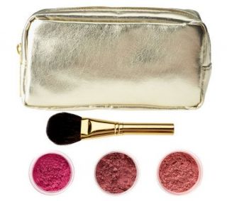 bareMinerals Golden Opportunity 4 piece Blush Collection —
