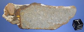 figure 6 slice of conglomerate showing showing a large el3