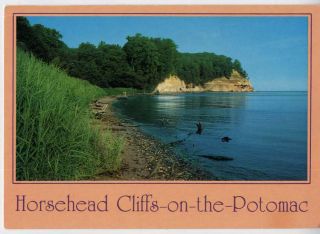 Montross VA N Colonial Beach Horsehead Cliffs Postcard