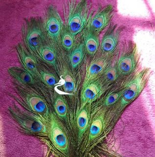 25pcs Natural Color Real Peacock Tail Eye Feathers about 26 30cm