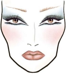 1700 Makeup Face Charts Mac Pro Bible Cosmetics Manual Training CD DVD