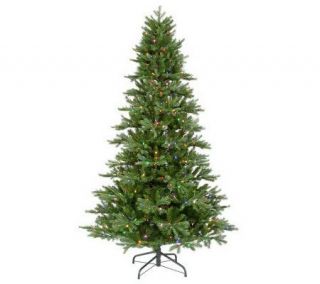 Tustin Fraiser Inst. Shape PE LED Tree byVickerman   H351249