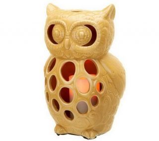 HomeReflections Ceramic Owl Luminary with FlamelessCandle   H196348