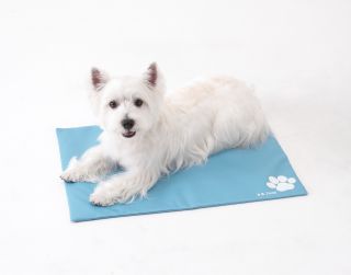 Pet Gel Cooling Cushion Mat, Naturally Cool Pad for Dog & Cat w/ Cover