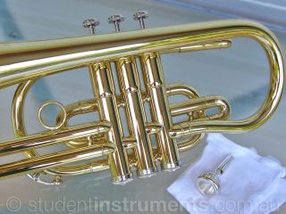 Sterling BB Cornet • Gold Lacquer • with Case • Brand New