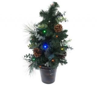 BethlehemLights BatteryOperated 24Eucalyptus Tree in Urn with Timer 