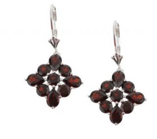 Mozambique Garnet 5.70cttw Sterling Dangle Lever Back Earrings