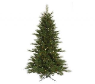 15 Scotch Pine Prelit PE Tree w/ Clear Lightsby Vickerman —