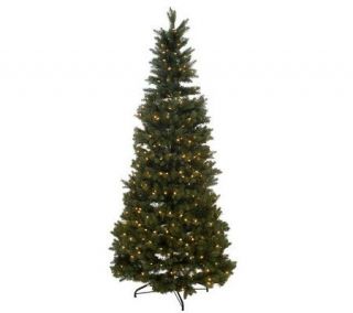 Balsam Hill Rockwell Fir 7.5 Instant Evergreen Tree —