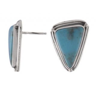 Bisbee Limited Edition Turquoise Triangular Earrings   J112994