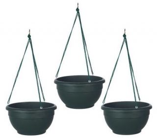 Set of 3 Self watering Hanging Baskets w/Reservoir & Wick System 