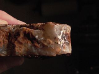 Agate Uncut Slab Stone from Crater of Diamonds Arkansas