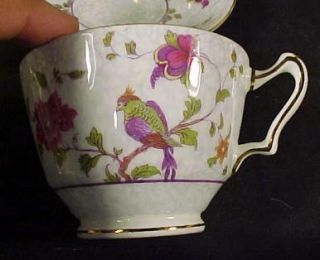 Crown Staffordshire Cup Saucer Bird of Paradise F8393