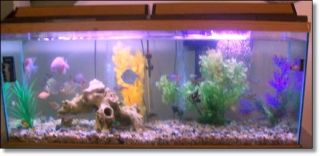 Aquarium Custom Made Stand Accessories – See Pictures and Video