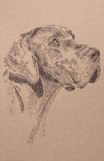 Great Dane Dog Art Kline Print 93 Drawing from Words Your Dogs Name