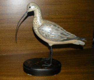 RARE   WOOD CARVED CURLEW SANDPIPER TOM TABER / JOHN R FAIRFIELD   NR