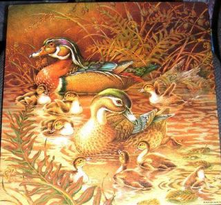 Springbok Puzzle Ducks Family Outing 500 Pcs PZL2109