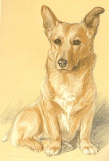 Welsh Corgi Dog Vintage Art by Lucy Dawson Note Cards