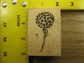 Dandelion Puff by VIP Visual Image Printery Nature Rubber Stamp 260