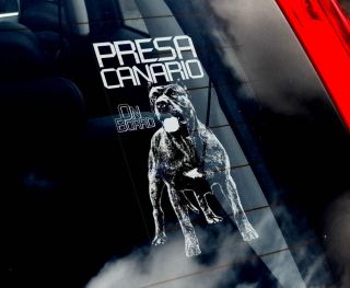 Dogo Canario   Dog Car Window Sticker   Perro de Presa Canario Canary