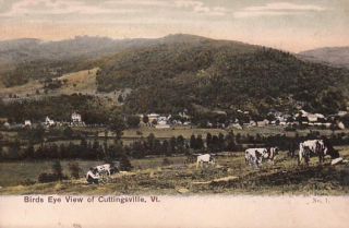 Early Cuttingsville VT Birdseye Town View Old Postcard