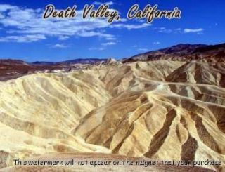 Death Valley California Travel Souvenir Fridge Magnet