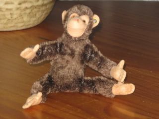Antique Steiff Jocko Chimpanzee Mohair 5310 BR 1949