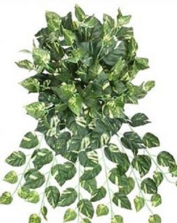 22 inch Pothos Ivy Bush Silk Artificial Plants, Wedding Arrangements