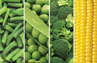  Freeze Dried Vegetables Emergency Long Term MRE Corn Peas Bean