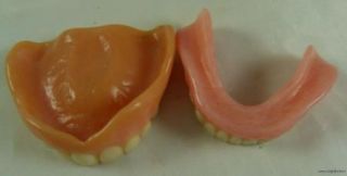 Hard Plastic Partial Dentures Mouth Teeth Iowa Estate