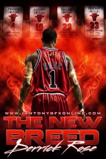 20 Derrick Rose Chicago Bulls NBA MVP Basketball Star 14x21 Poster
