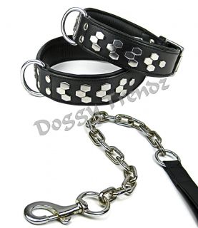 Leather Dog Collar and Chain Lead Super Heavy Chrome Strong for Big