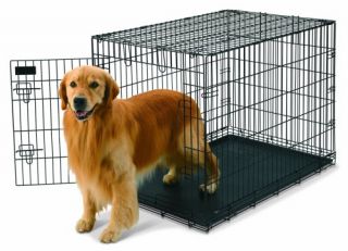  Training 42x28x31 inch Wire Dog Kennel XL Crate Calm Sleep Cage