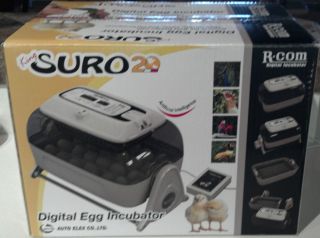  R com King Suro 20 Digital Incubator