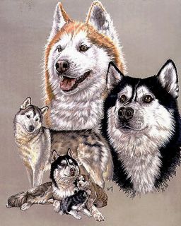 Siberian Husky Dog Counted Cross Stitch Pattern