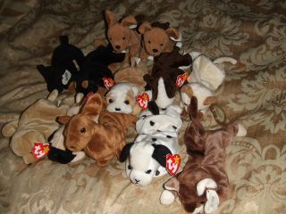12 Beanie Babies Cats and Dogs Lot Read Details